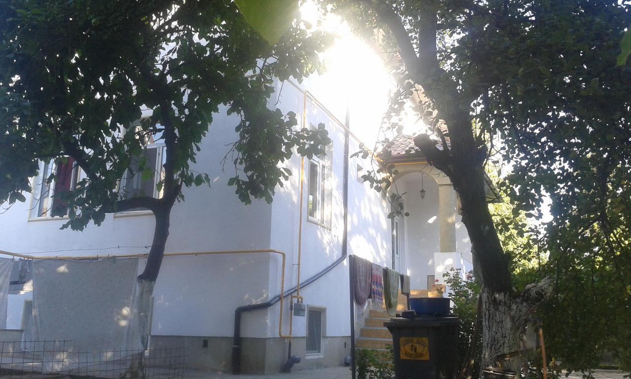 Alfredo Hostel Krajowa Zewnętrze zdjęcie
